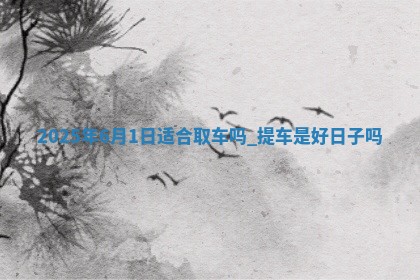 2025年6月1日适合取车吗,提车是好日子吗