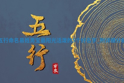易姓阳光活泼的男宝名字
