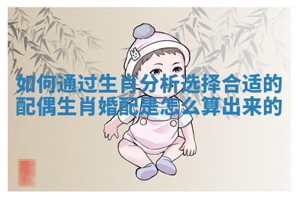 如何通过生肖分析选择合适的配偶 生肖婚配是怎么算出来的