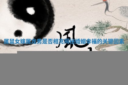 属鼠女嫁属龙男是否相克揭秘婚 ? 姻幸福的 ? 关键因素